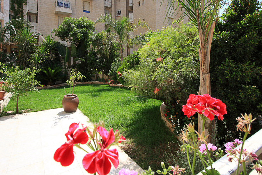 Outdoor Garden Area and Patio
