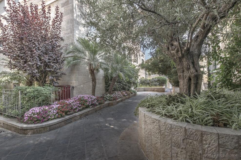 Outdoor Courtyard on Entrance Level to the Building Photo #3