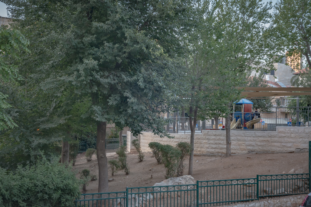 Park Across the Street